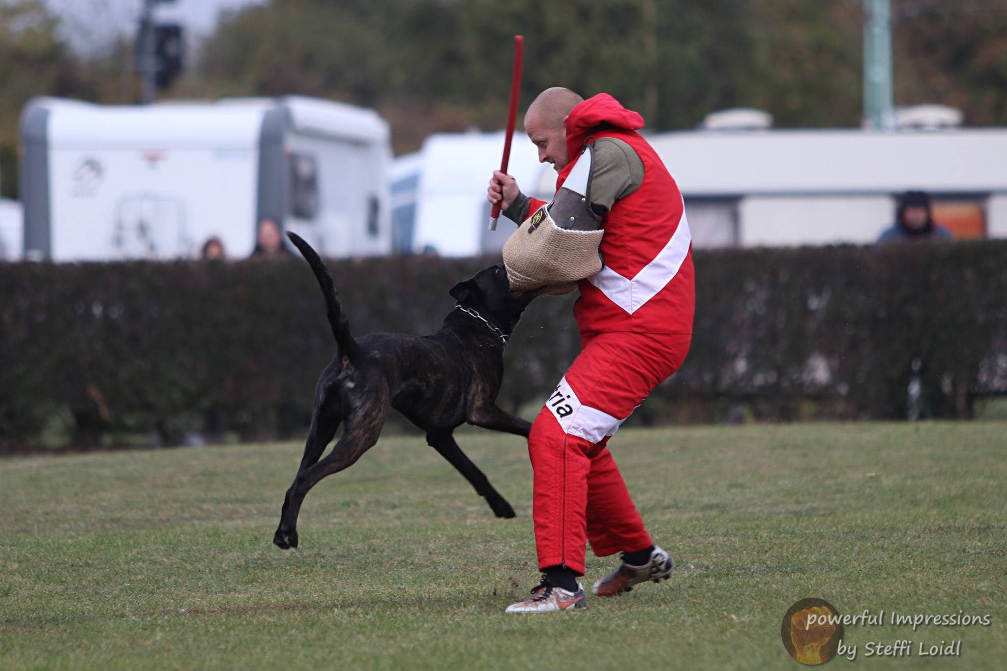 Fotos der FCI Qualifikation