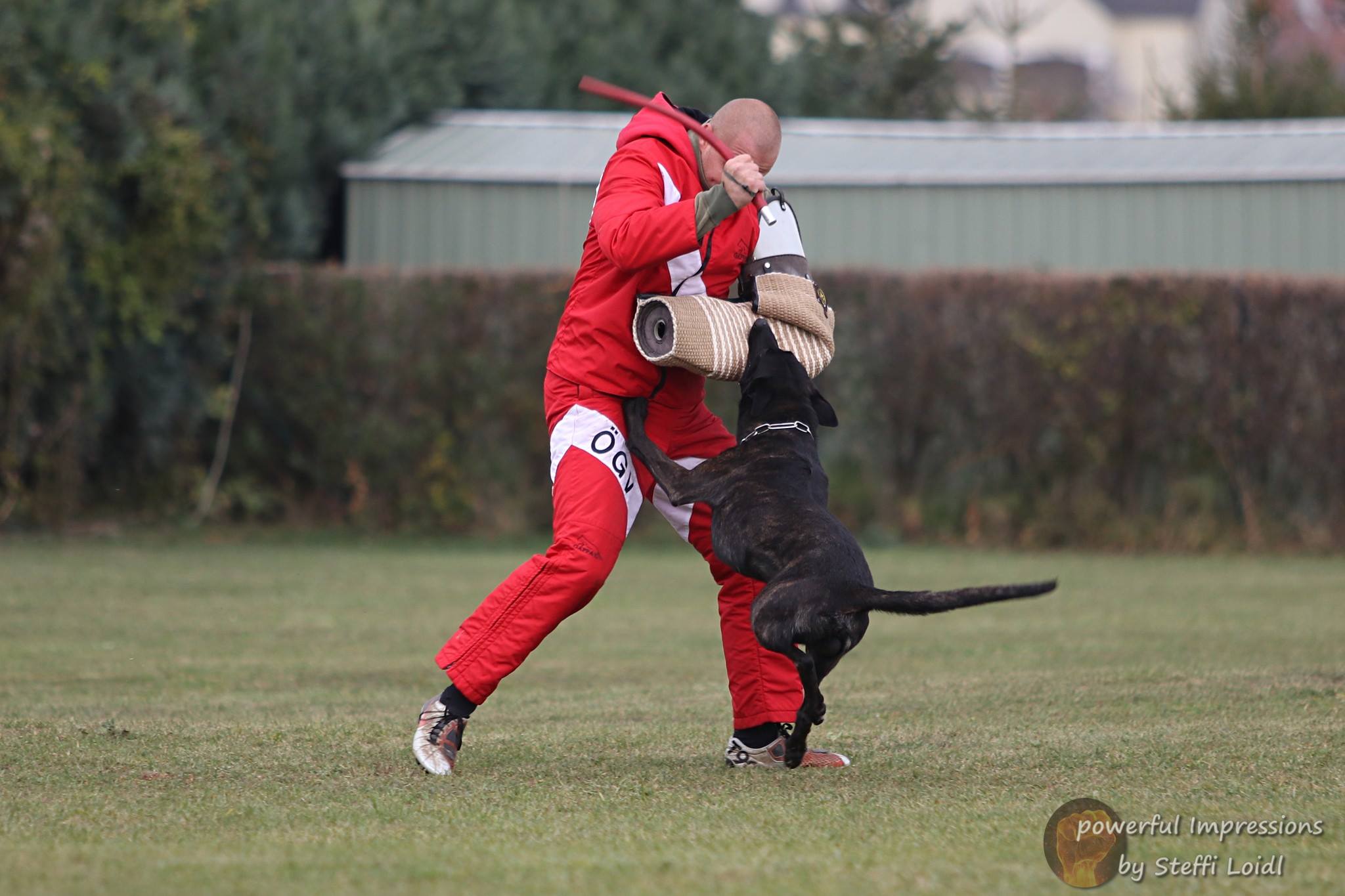 Fotos der FCI Qualifikation