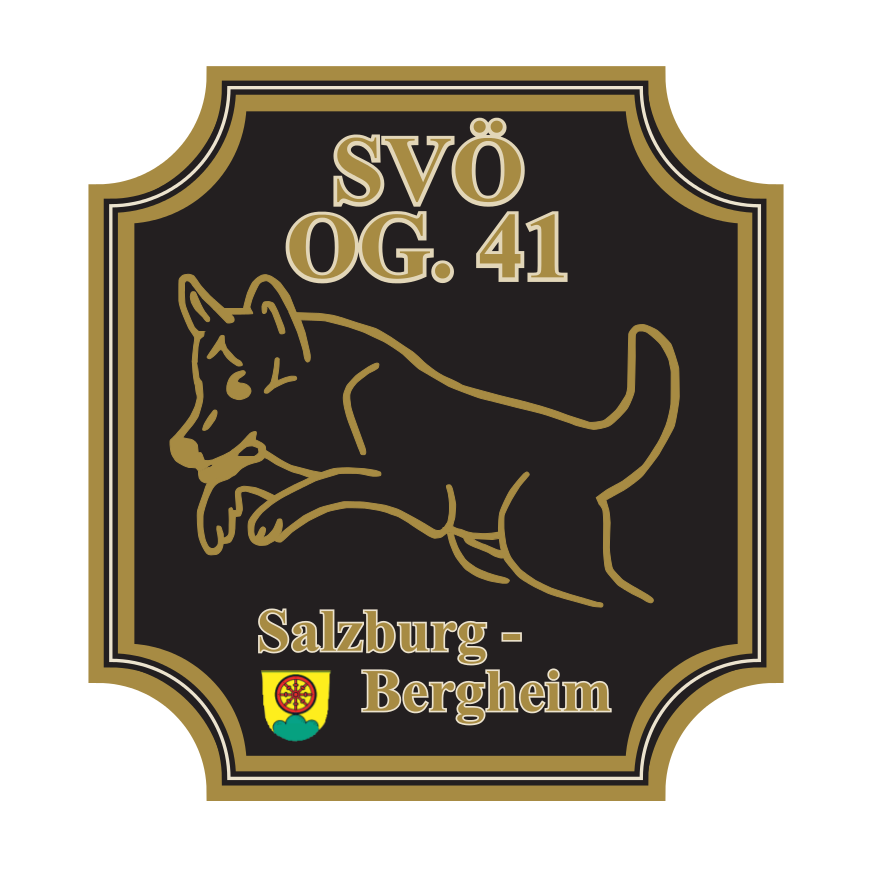 SVÖ Bergheim Sektion 41